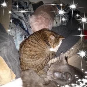 Meet your Posher, Kim